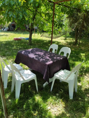 bezirgan köy evleri